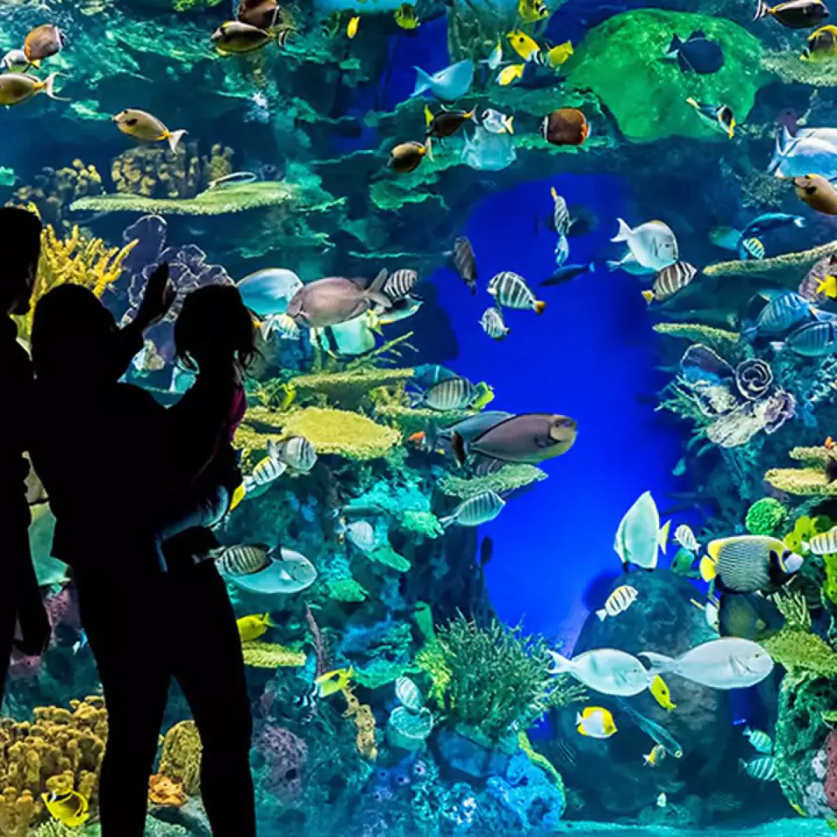 Excursion de 3 jours en libre de Montréal à Toronto et aux chutes Niagara pour célébrer le Nouvel An (2 nuits d'hôtel à Niagara)