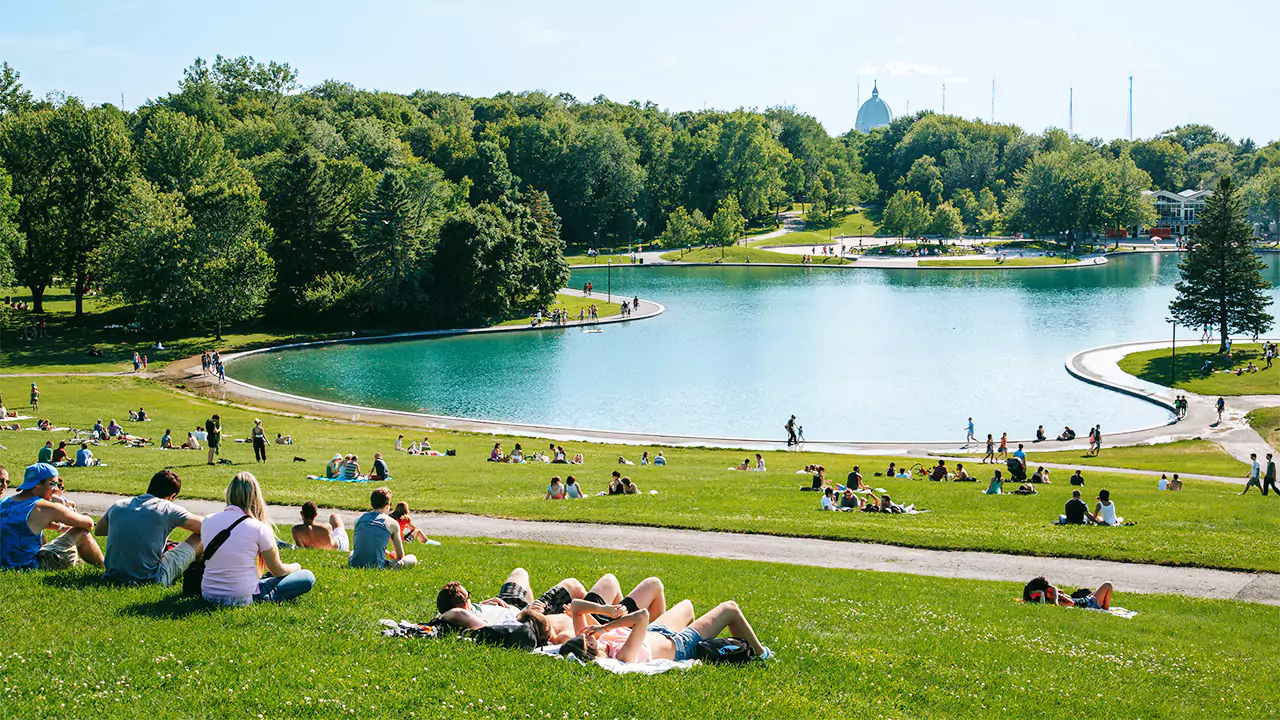 Explore Montreal in 5 Hours – Historic Landmarks & Scenic Views