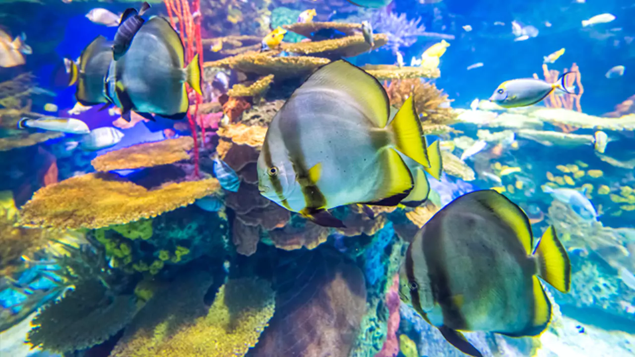 Toronto & Niagara Falls 2-Day Flexible Tour – Explore at Your Own Pace