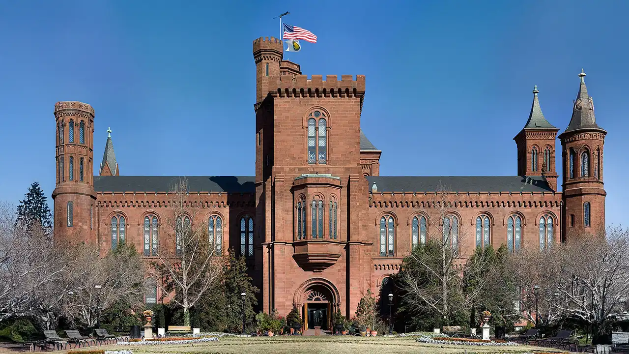 Cherry Blossom Washington DC 4 Days